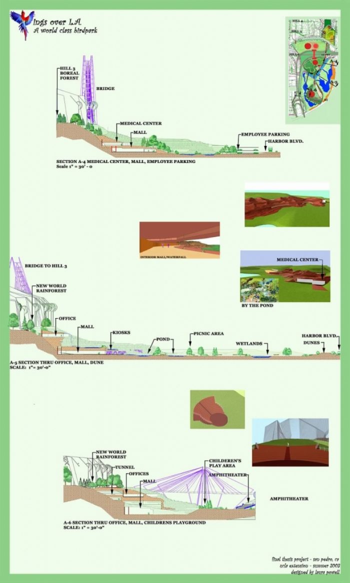 Section Views